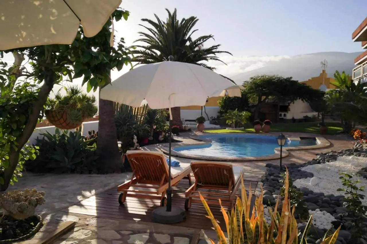 Apartment Holiday Flat, Radazul